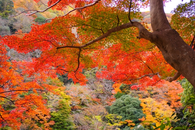 秋の温泉