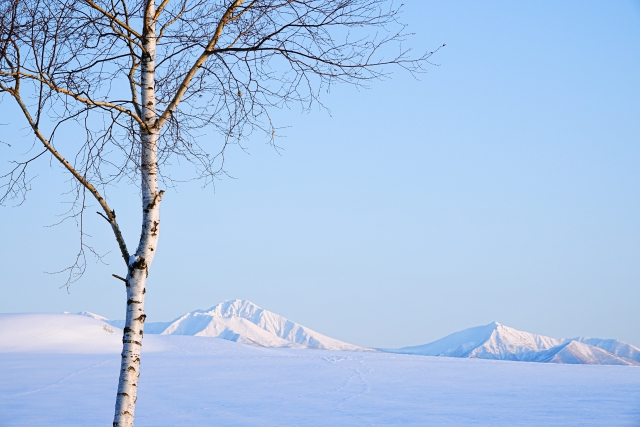 冬　バス旅　持ち物